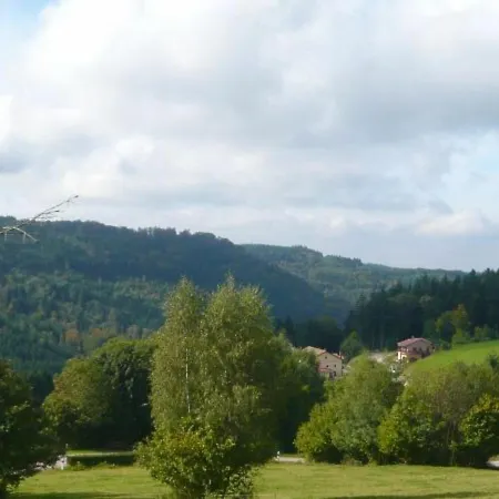Le Tholy, 3 Pièces, 5 Personnes - Fr-1-589-179 * Le Tholy