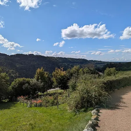 A La Montagne Avec Cheminee, Wifi Et Joli Terrain - Fr-1-589-179 * 르톨리