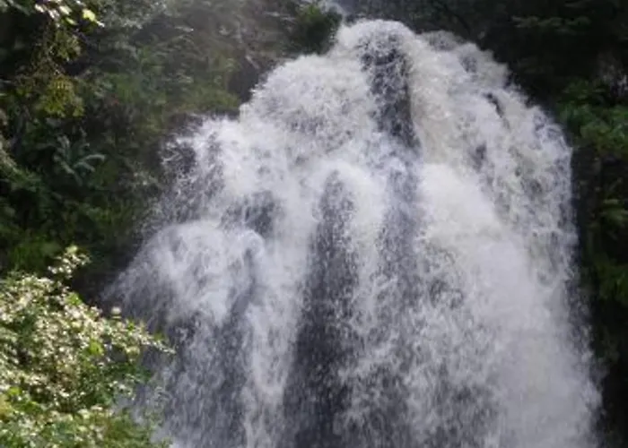 公寓 A La Montagne Avec Cheminee, Wifi Et Joli Terrain - Fr-1-589-179 勒索里