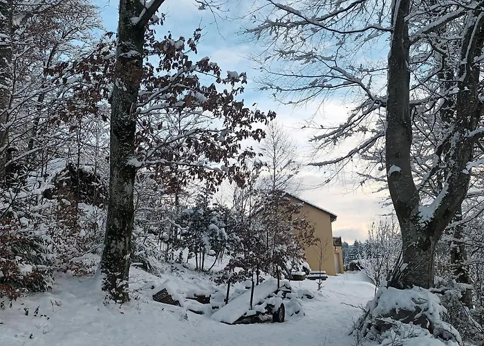 公寓 A La Montagne Avec Cheminee, Wifi Et Joli Terrain - Fr-1-589-179 *