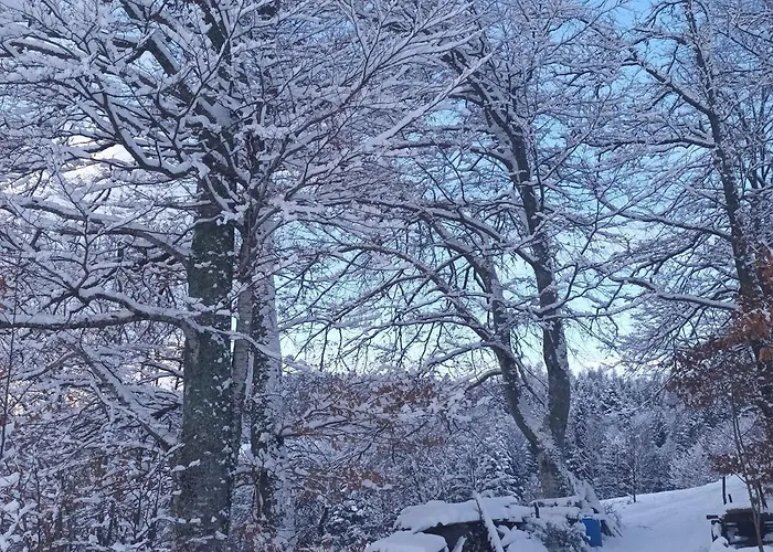 A La Montagne Avec Cheminee, Wifi Et Joli Terrain - Fr-1-589-179 *