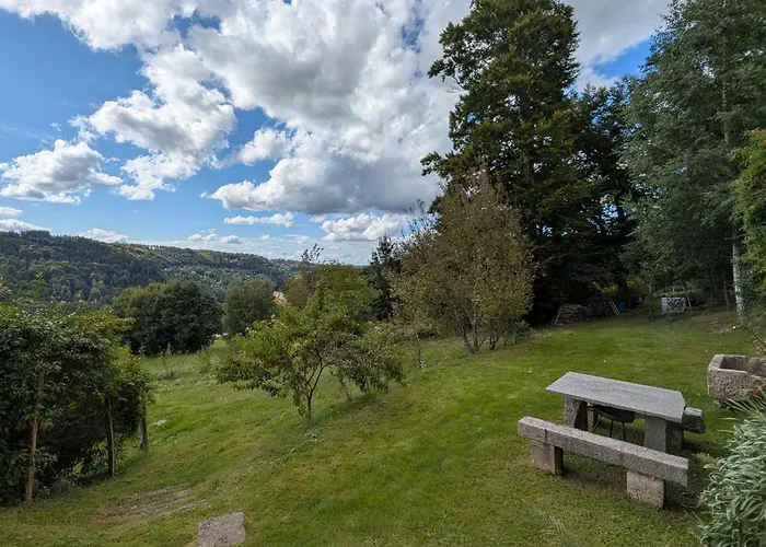 公寓 A La Montagne Avec Cheminee, Wifi Et Joli Terrain - Fr-1-589-179